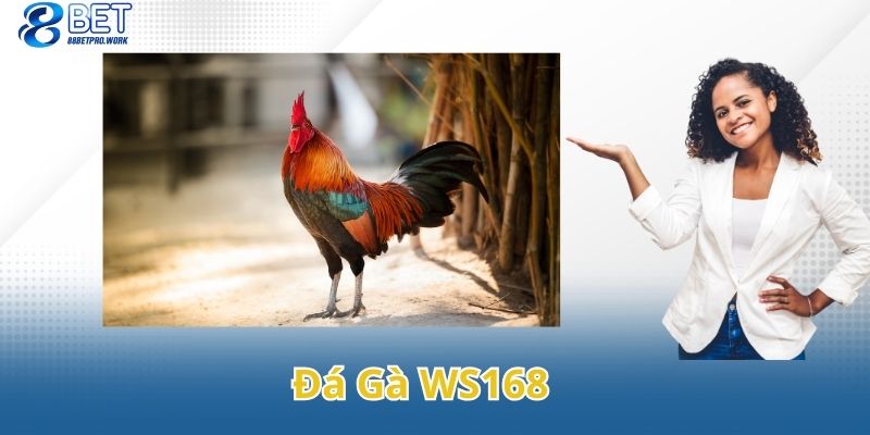 da ga ws168