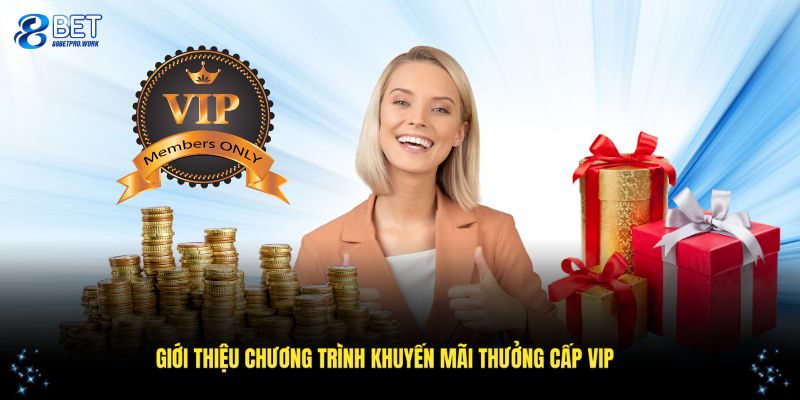 Giới thiệu về khuyến mãi thưởng cấp VIP 88BET