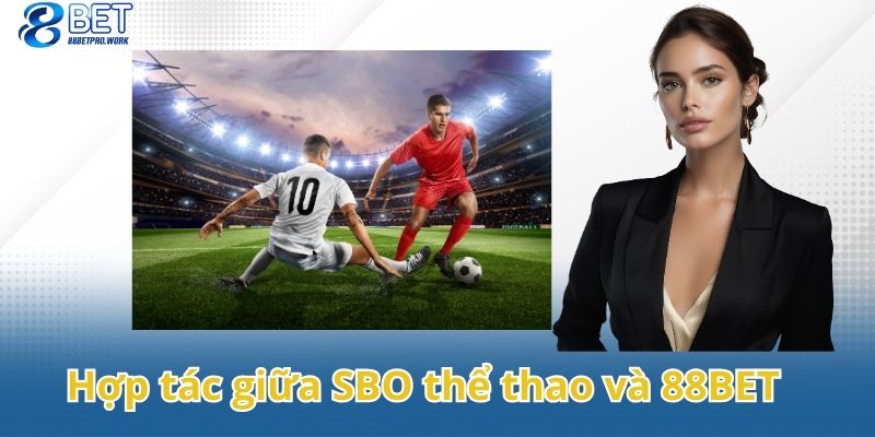 Những lợi ích ấn tượng cho sự hợp tác giữa 2 bên 