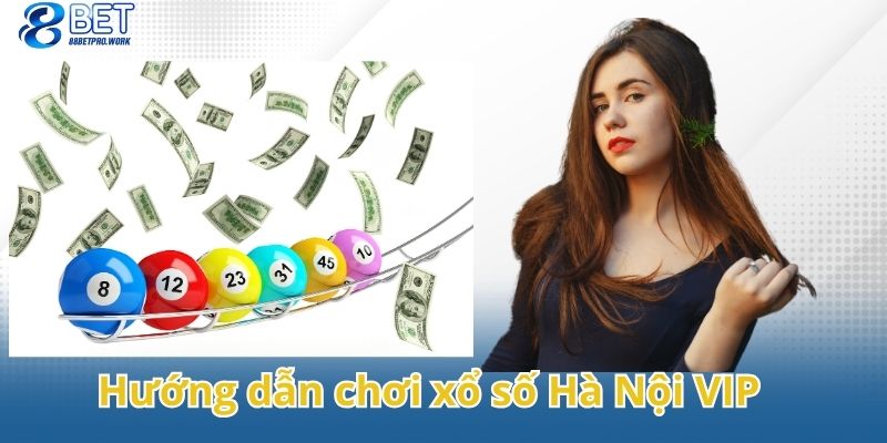 Hướng dẫn chơi xổ số Hà Nội VIP theo quy trình đơn giản