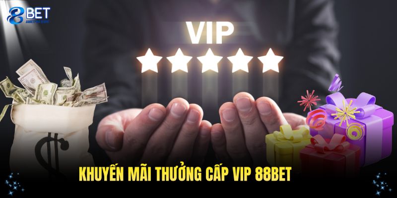 khuyen mai thuong cap vip